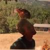 matthewdunca268